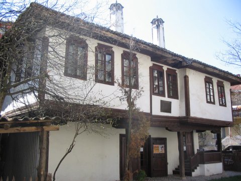 Народне библиотека ,,Десанка Максимовић’’ у Власотинцу пре пожара